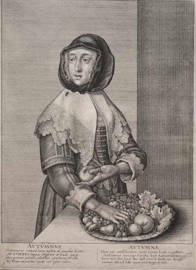 The Four Seasons: Autumn by Wenceslaus Hollar