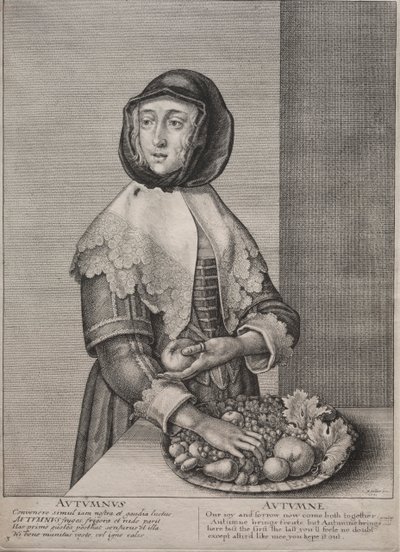 The Four Seasons: Autumn by Wenceslaus Hollar