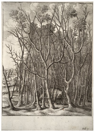 The fox and the thorn bush (State 2) by Wenceslaus Hollar