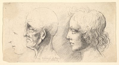 Three Profile Heads, One in Outline Only by Wenceslaus Hollar