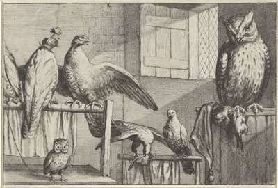 Falcons and owls in a barn (Various Birds series) by Wenceslaus Hollar