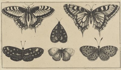 Five Butterflies and a Moth (Various Insects) by Wenceslaus Hollar