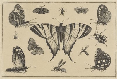 Butterflies, Wasp, and Other Insects (Various Insects series) by Wenceslaus Hollar