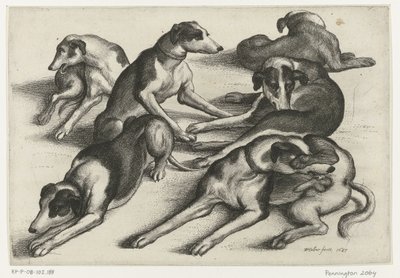 Six Lying Hunting Dogs by Wenceslaus Hollar