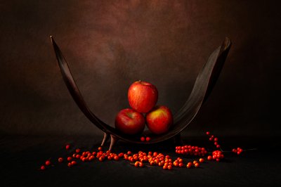 Autumn Apple Bowl by Wendy Xu