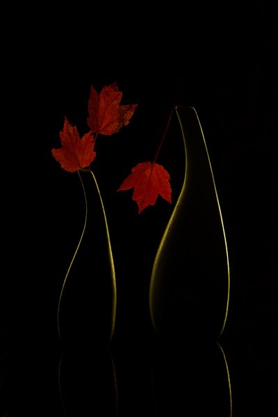 Glowing Autumn Vases by Wendy Xu