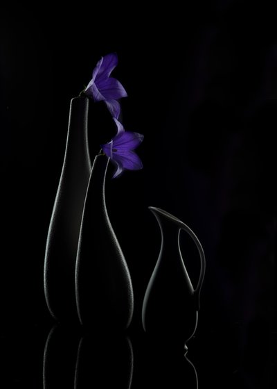 Purple Bloom Vases by Wendy Xu