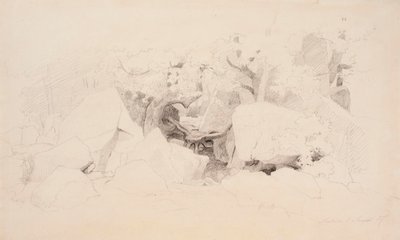 Boulders in the Forest by Werner Holmberg