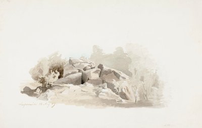 Broken Cliff Surrounded by Bushes by Werner Holmberg