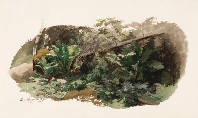 Spruce Fallen on Ferns; Cow (Double-sided Work) by Werner Holmberg