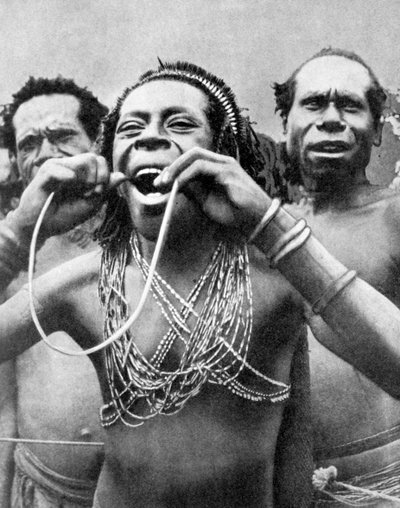 Swallowing canes in a ceremonial ritual, New Guinea by Wide World Photos