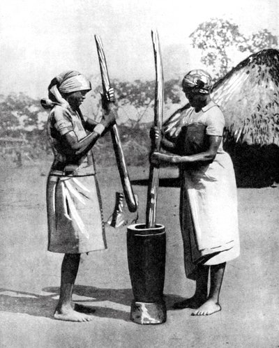 Two Mashona Tribeswomen Pounding Maize and Millet, Zimbabwe, Africa by Wide World Photos