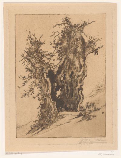 Hollow Tree near Seelisberg in Switzerland by Wijnand Otto Jan Nieuwenkamp (signed by artist)