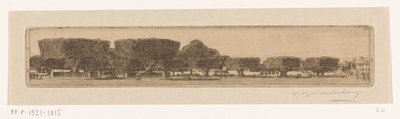 Waringin Trees in the Garden of the Sultan