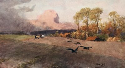 Ploughing by Wilfrid Williams Ball
