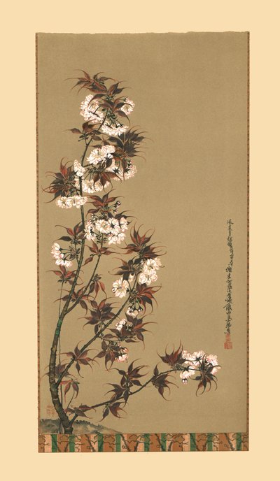 The Cherry Blossoms of Mikawa by Wilhelm Greve