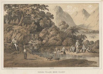 Kanaka Village Bonin Islands by Wilhelm Joseph Heine