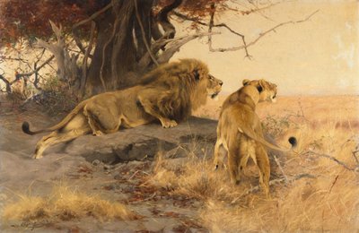 A Lion and a Lioness in the Savannah by Wilhelm Kuhnert