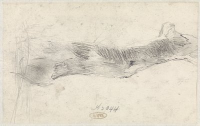 Study of a Tree by Willem Anthonie van Deventer