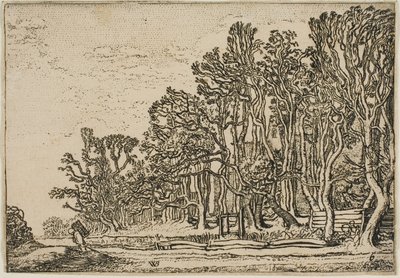 Landscape with Plank-Hedges and Man Bearing Wood by Willem Buytewech
