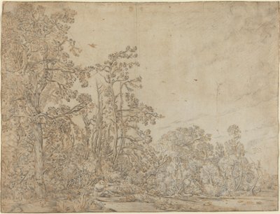 Woodland Pond with a Fisherman by Willem Buytewech