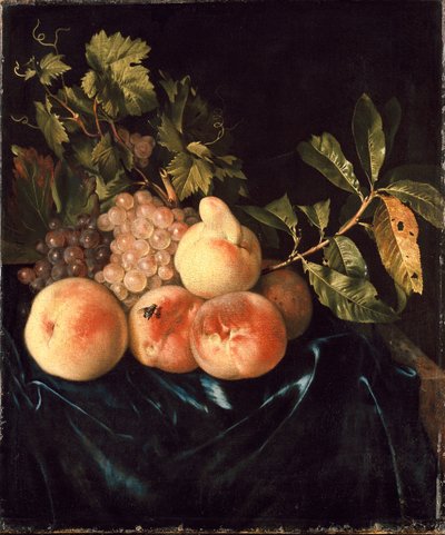 Still Life of Peaches and Grapes, 1705 by Willem Frederiksz van Royen