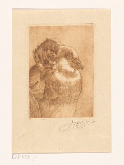 Study of a Dove by Willem Hendrik Bik (signed by artist)