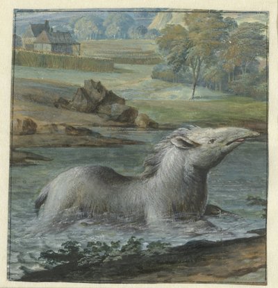 Tapir in the Water by Willem Hendrik Wilhelmus van Royen
