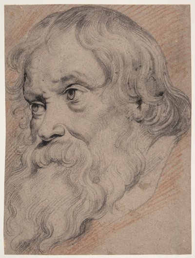 Head of an Elderly Bearded Man, Three-Quarter Profile to the Left by Willem Panneels