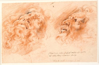 Laocoon. Two Studies of Laocoon