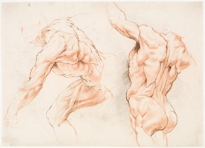 Two Anatomical Studies of a Man Leaning to the Left, and Another Seen From Behind With Raised Arm (Écorché) by Willem Panneels