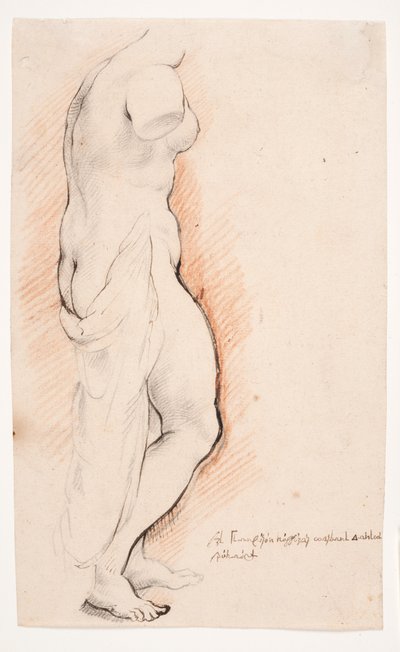 Venus. Antique Statue Seen from the Right by Willem Panneels