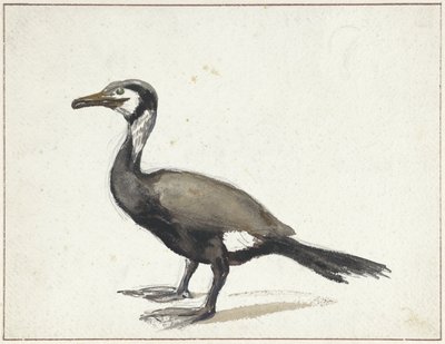 Cormorant by Willem Roelofs (I)