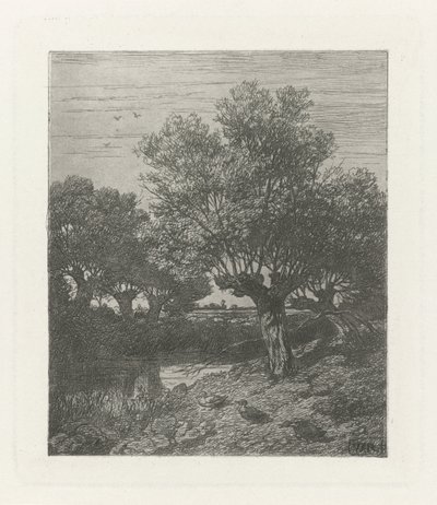 Ducks by a Ditch by Willem Roelofs (I)