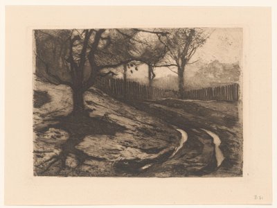 Landscape with Trees and Fence by Willem Arnoldus Witsen