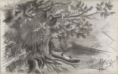 Landscape with a Large Tree in Rhenen by Willem Arnoldus Witsen