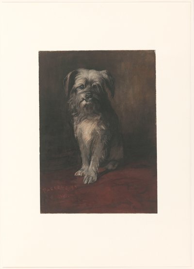 Portrait of the Dog Phoebus by Willem Arnoldus Witsen