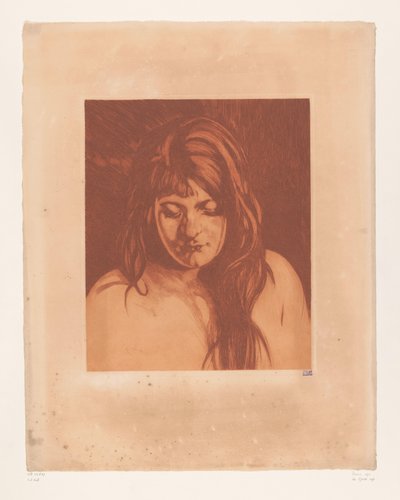 Portrait of an Unknown Woman by Willem Arnoldus Witsen
