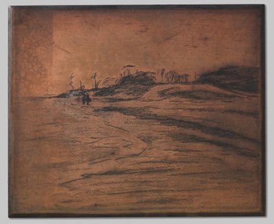 Valkeveen on the Zuiderzee by Willem Arnoldus Witsen