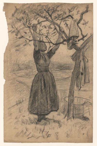 Woman Hanging Laundry in a Tree, to the Right by Willem Arnoldus Witsen