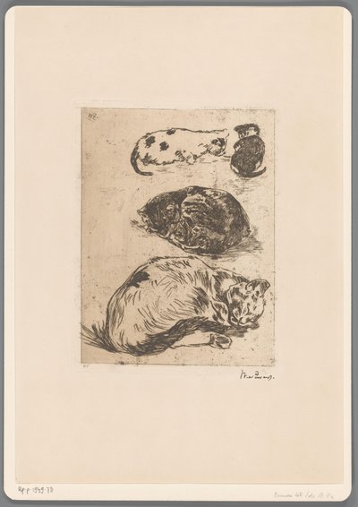 Study of Cats by Willem de Zwart (signed by artist)