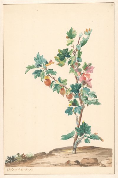 A Gooseberry in a Landscape by Willem van Leen (attributed to)