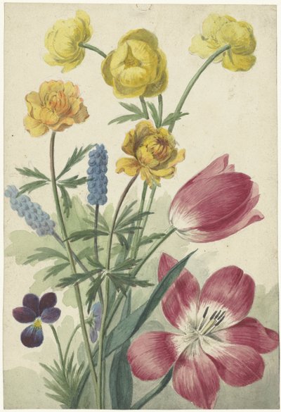 Bouquet of Tulips, Violets, Grape Hyacinths, and Marsh Marigolds by Willem van Leen