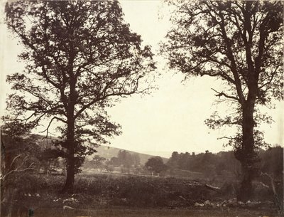 Landscape with Elms, Ashdown, Great Britain by William 2nd Earl of Craven