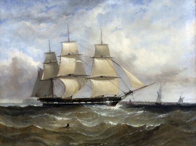 The boat 