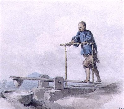 Chinese Labourer at Work by William Alexander