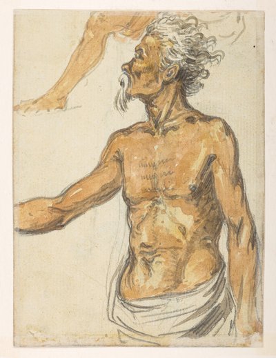 Elderly man, from an Album of 372 drawings of landscapes, coastlines, costumes and everyday life made during Lord Macartney