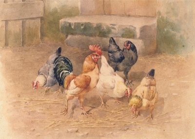 Chickens by William Baptiste Baird