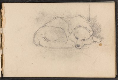 Sketch of a Sleeping Dog by William Barnes Wollen