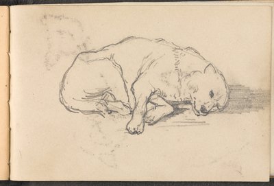 Sketch of a Sleeping Dog by William Barnes Wollen